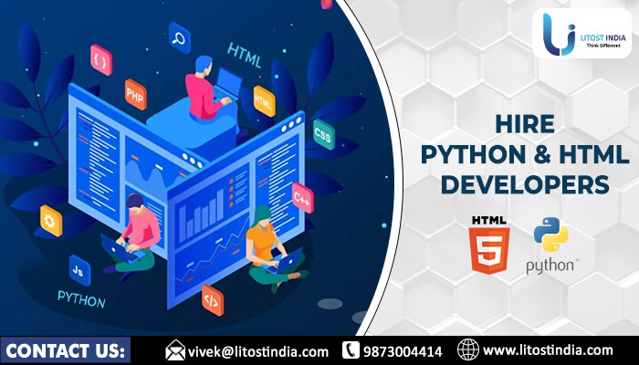How to Hire Python and HTML Developers?